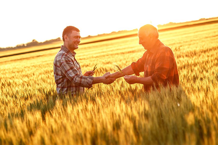 Agency Acquisition - View of Two Farmers Standing in a Field of Wheat at Sunset While Shaking Hands